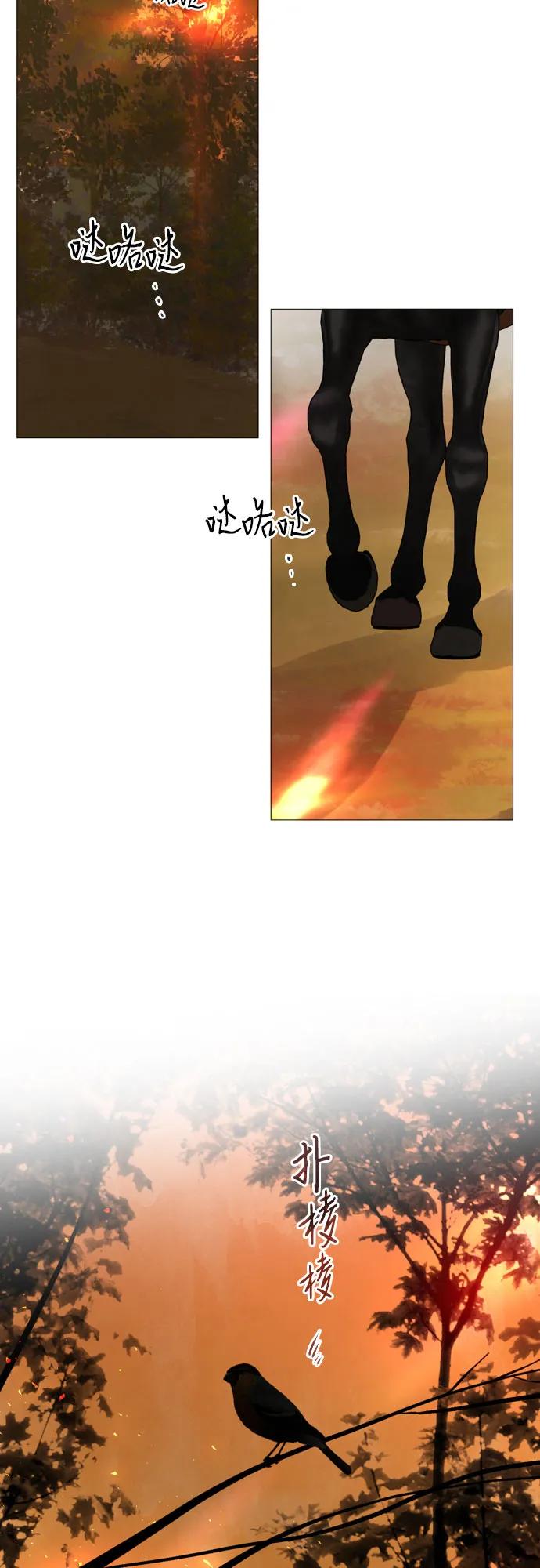 48.jpg