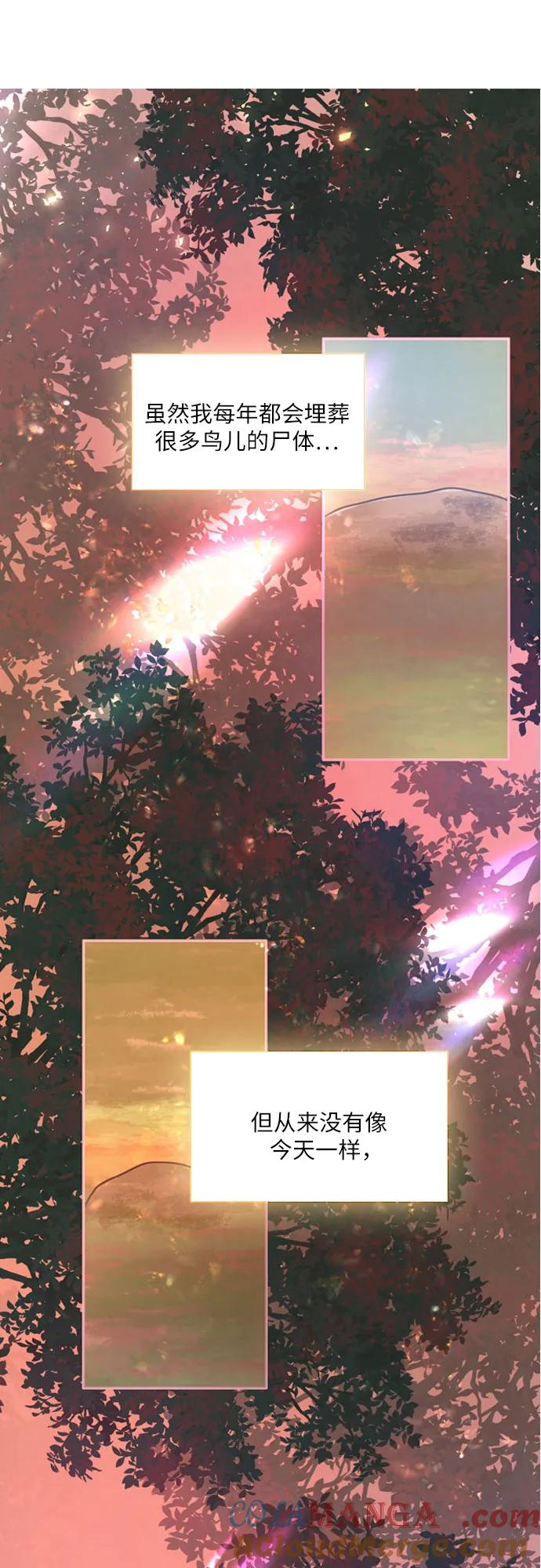 64.jpg