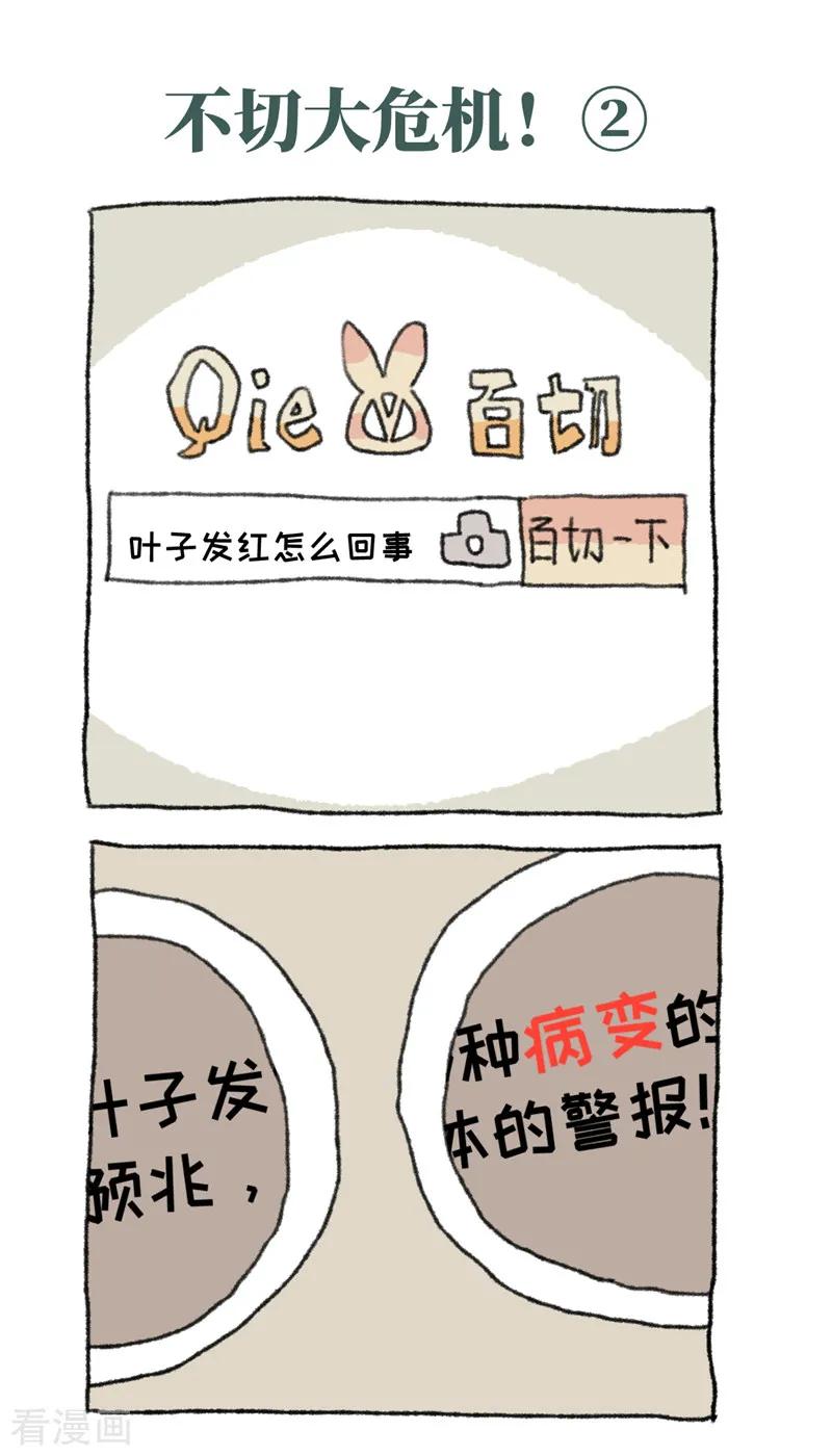 第31话不切大危机-不切传说-新漫画（第4张）