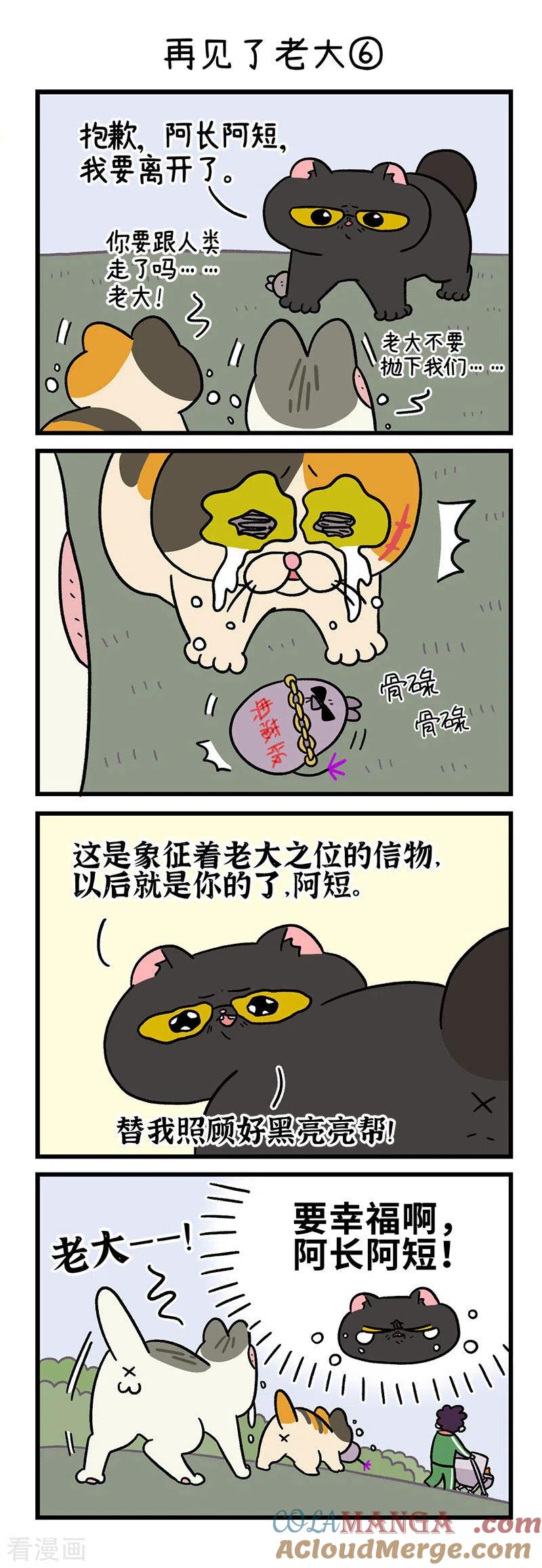 第45话2再见了老大-阿满和麦茶-新漫画 日胖大海寺（第4张）