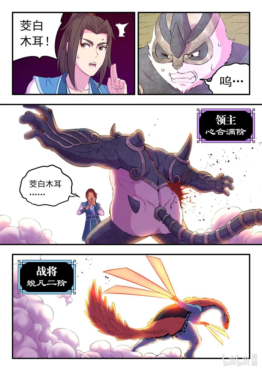 10.jpg