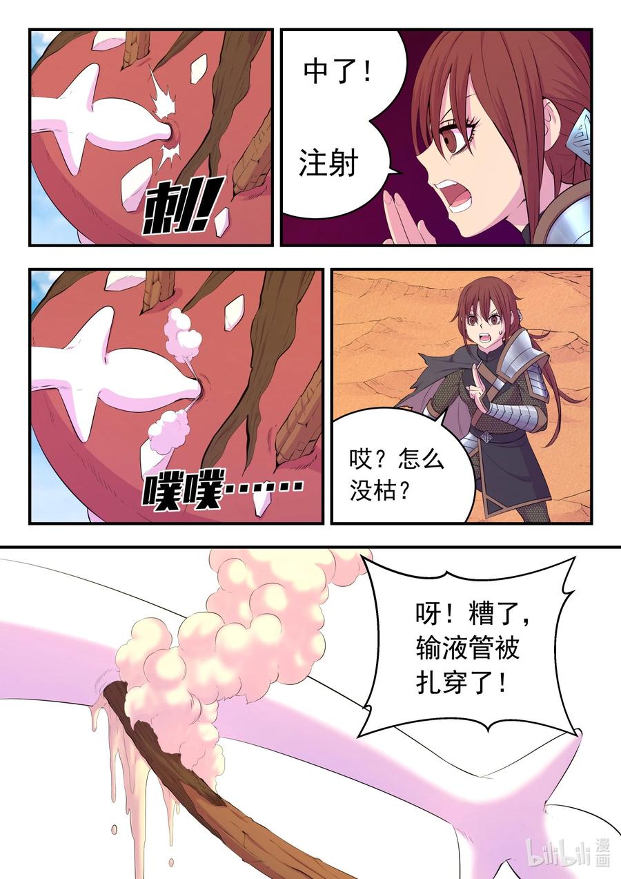 8.jpg