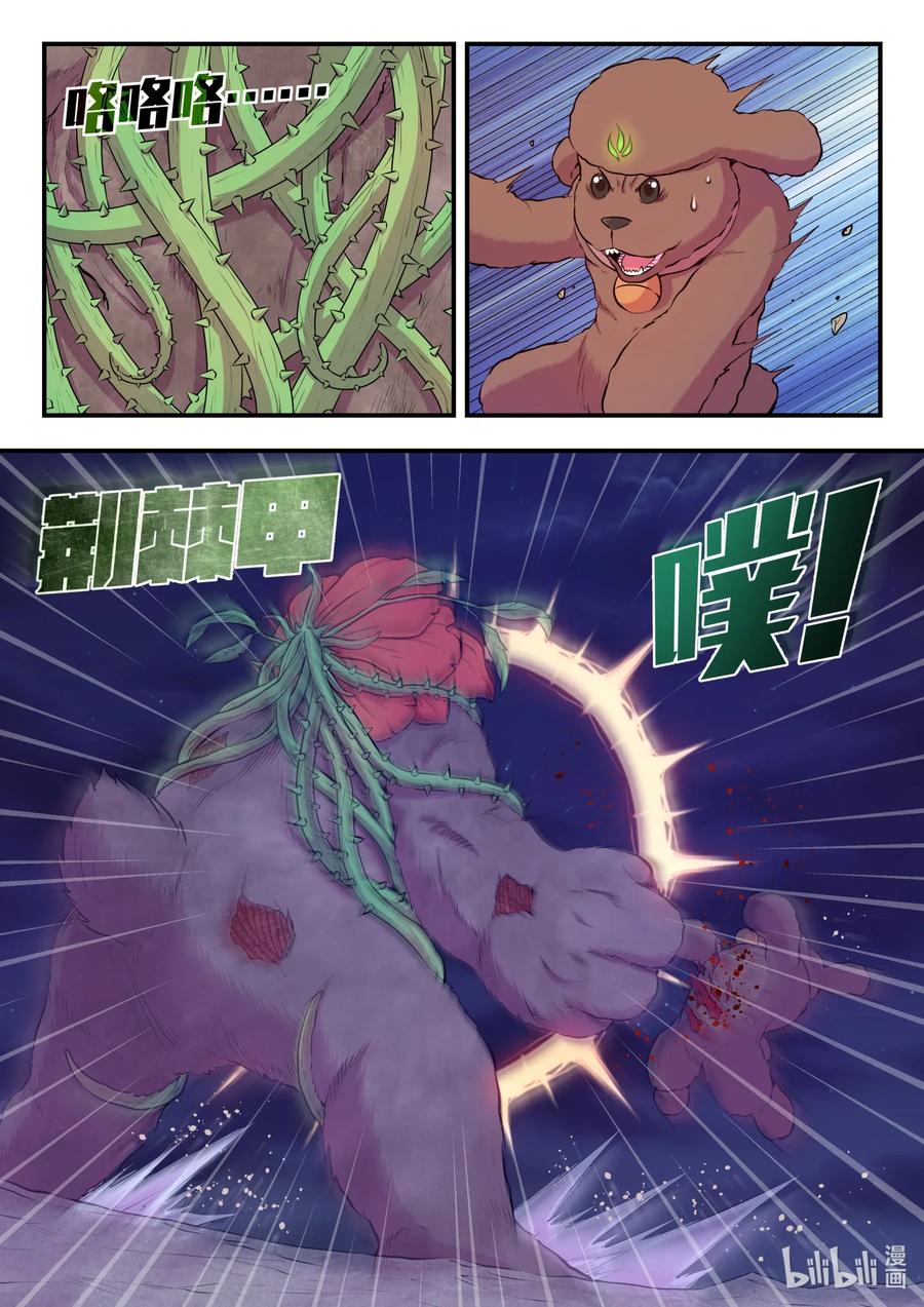 6.jpg
