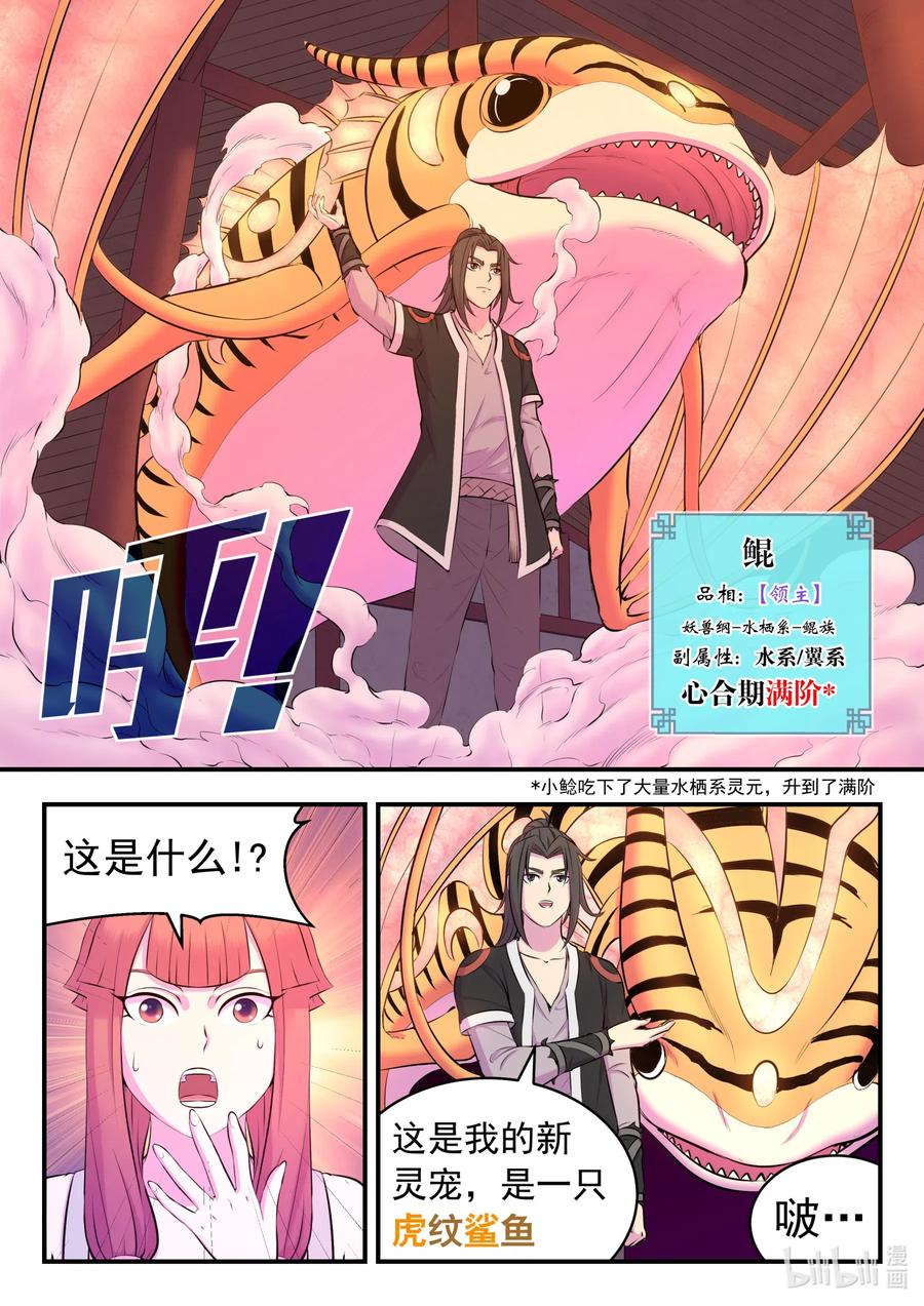 11.jpg