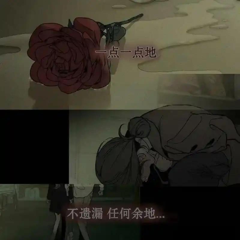 19-枯萎之花上的眼泪-GAE（第12张）