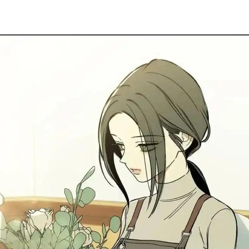 6-枯萎之花上的眼泪-GAE（第12张）