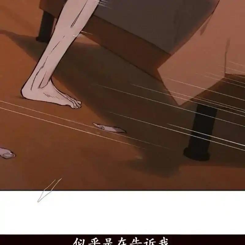 8-枯萎之花上的眼泪-GAE（第12张）
