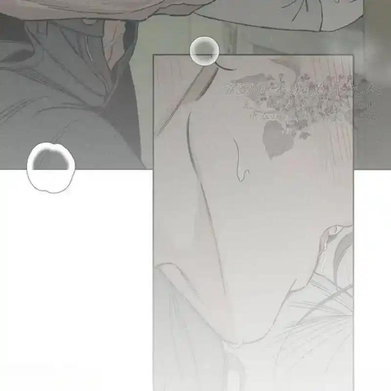 11-枯萎之花上的眼泪-GAE（第14张）