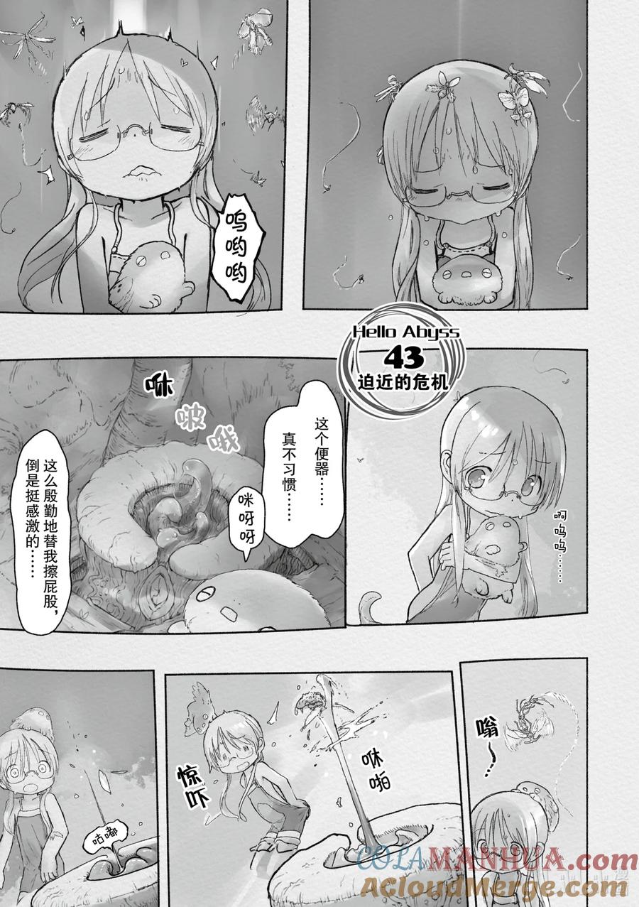 5.jpg