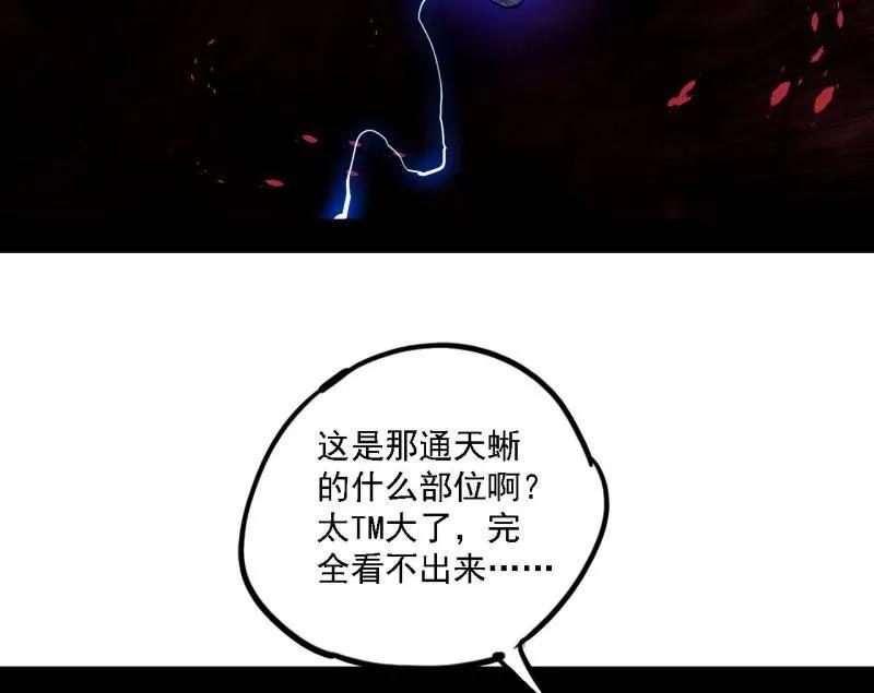 55.jpg