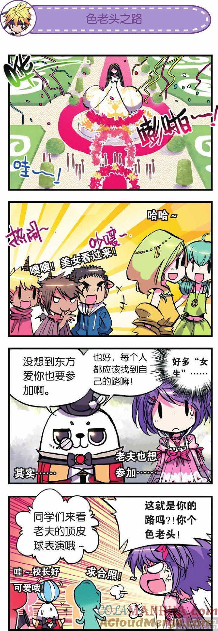 6.jpg