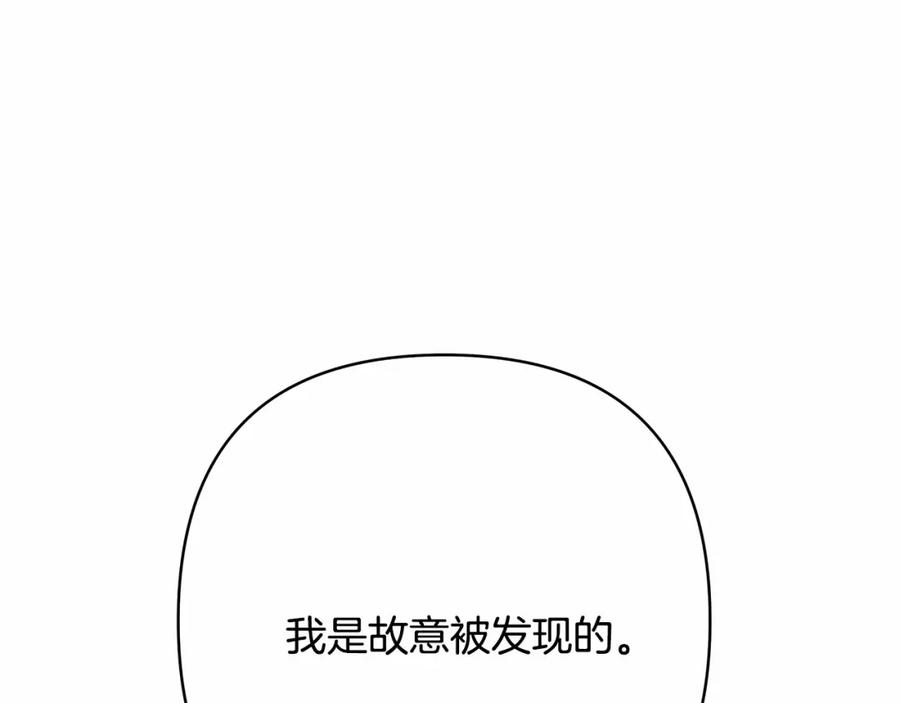 123.jpg