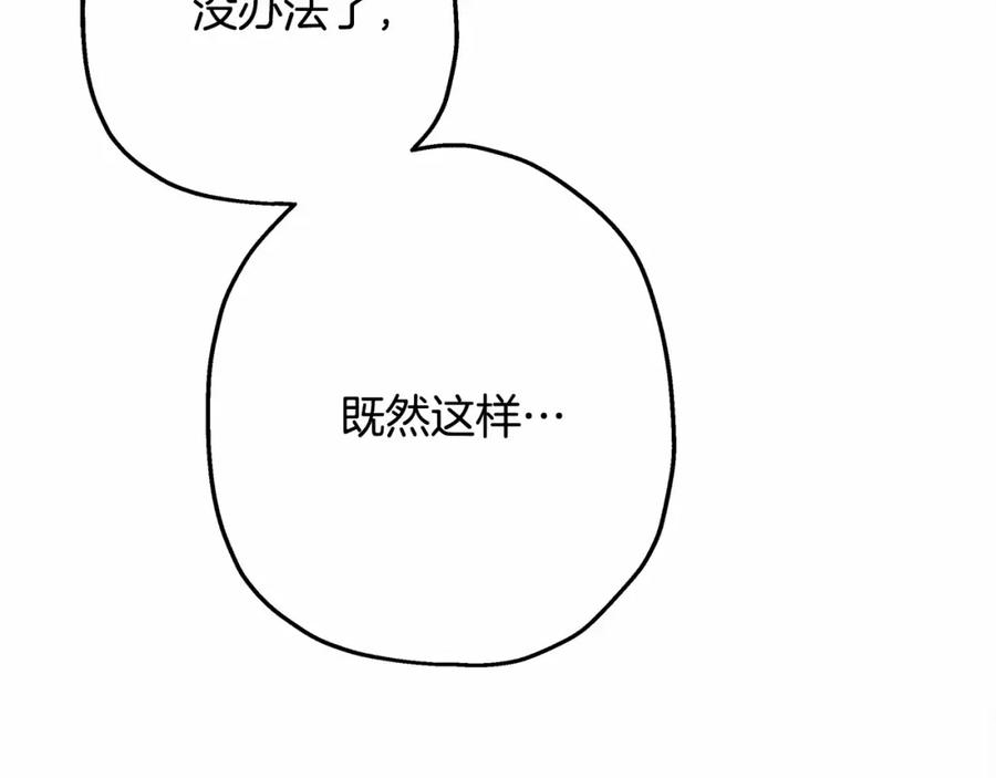 231.jpg