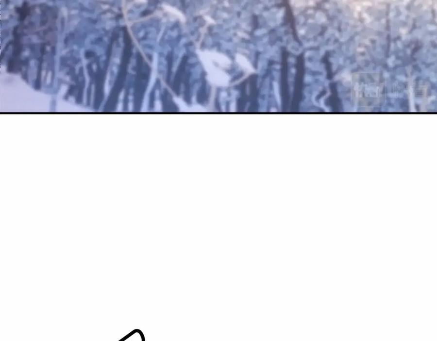 146.jpg