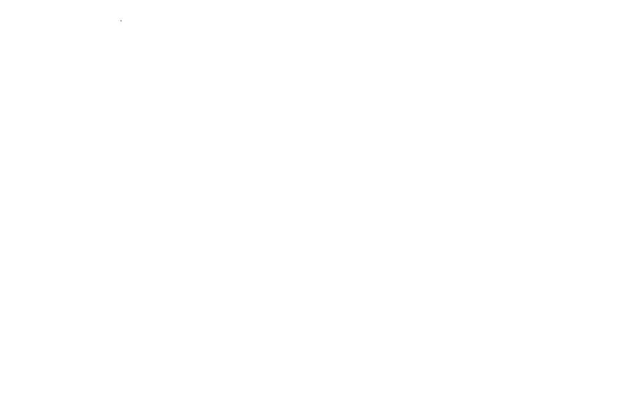 91.jpg