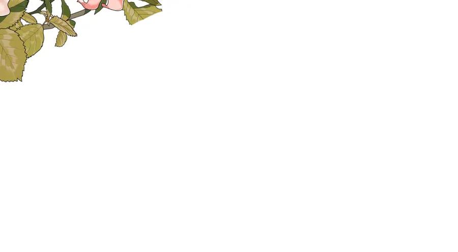 144.jpg