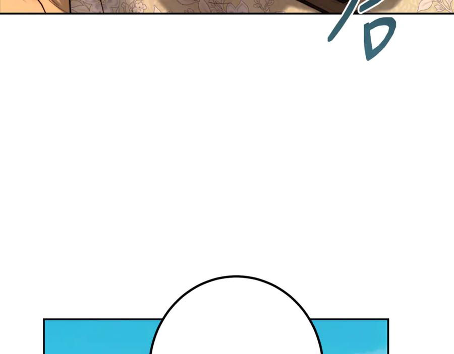 146.jpg