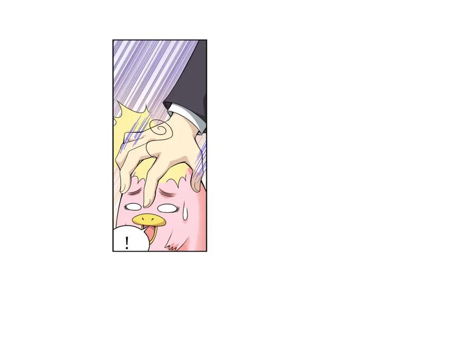 48.jpg