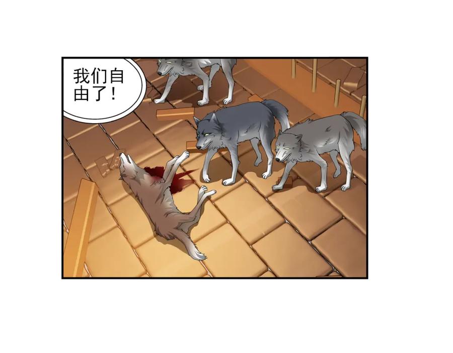 39.jpg