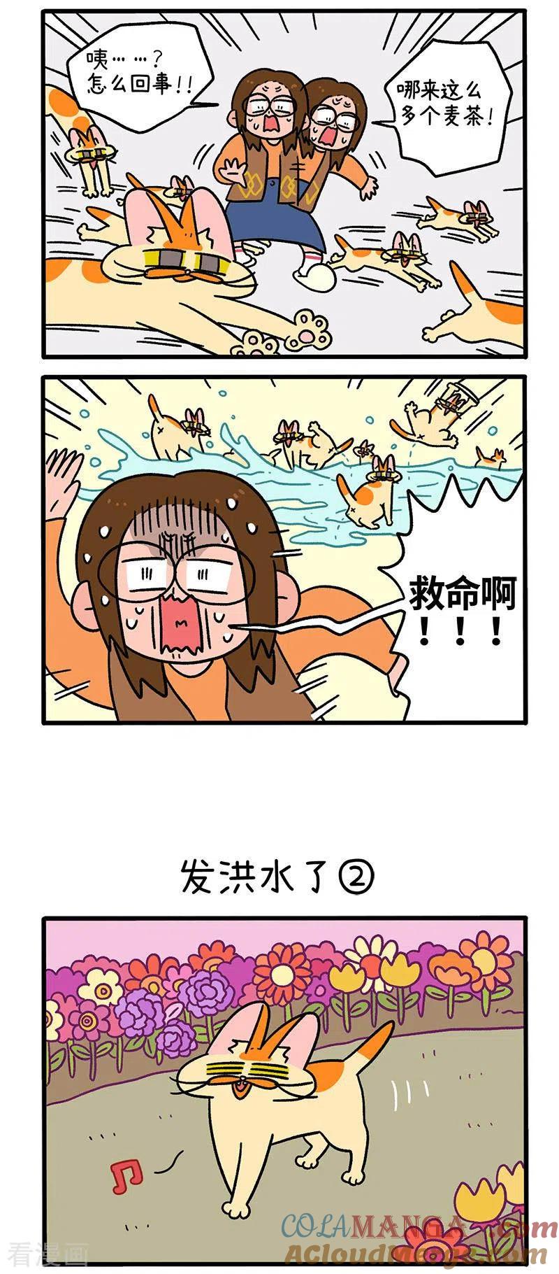 第61话发洪水了-阿满和麦茶-新漫画 日胖大海寺（第2张）