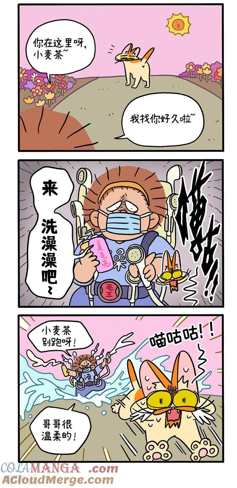 第61话发洪水了-阿满和麦茶-新漫画 日胖大海寺（第3张）