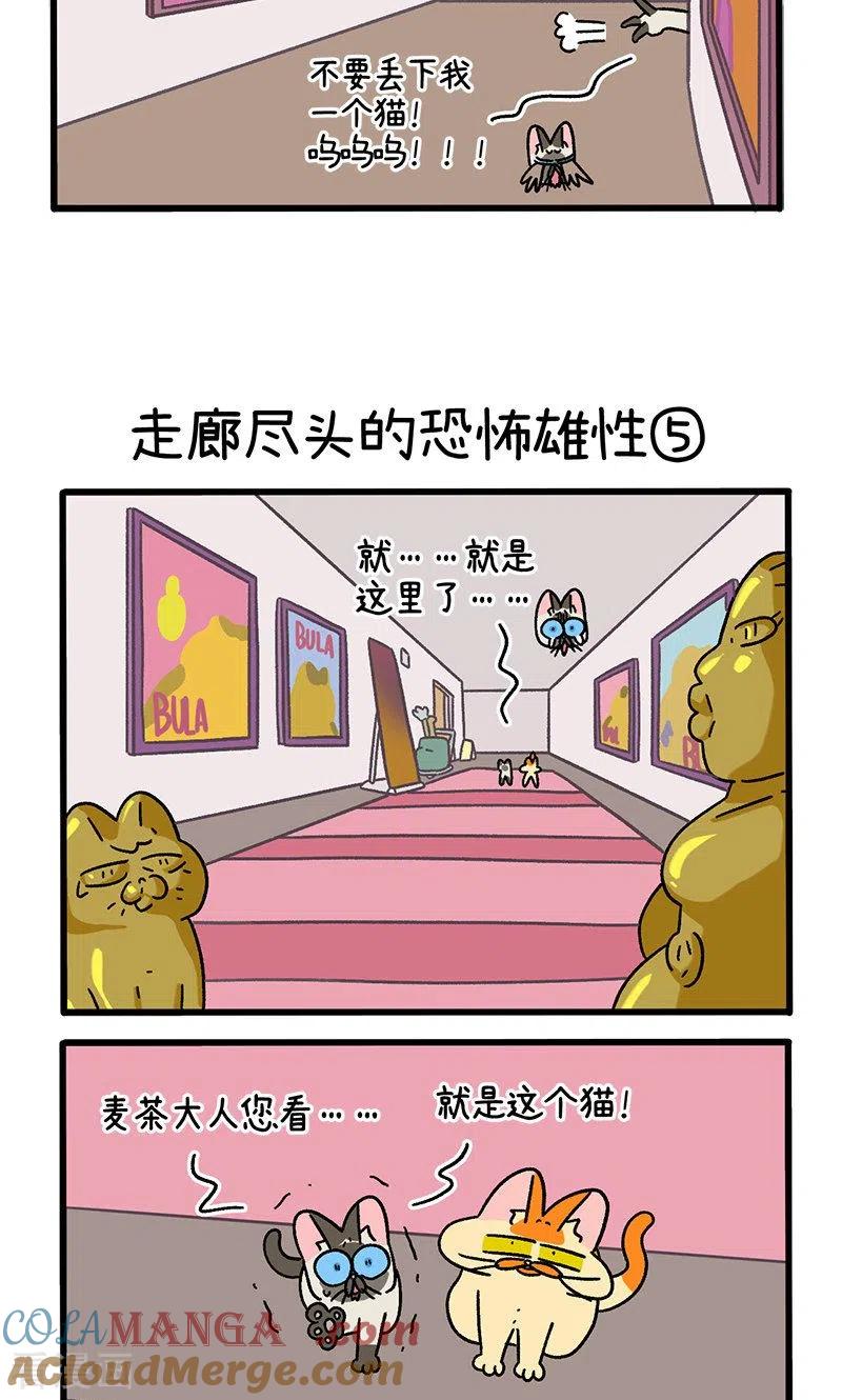 第68话2走廊尽头的恐怖雄性-阿满和麦茶-新漫画 日胖大海寺（第3张）