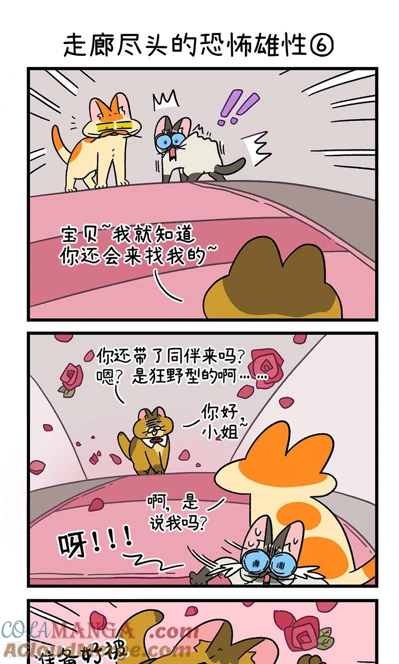 第68话2走廊尽头的恐怖雄性-阿满和麦茶-新漫画 日胖大海寺（第5张）