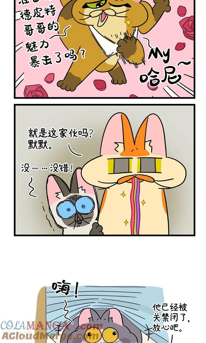 第68话2走廊尽头的恐怖雄性-阿满和麦茶-新漫画 日胖大海寺（第6张）