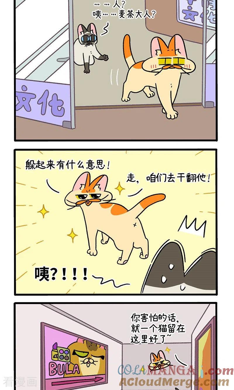 第68话2走廊尽头的恐怖雄性-阿满和麦茶-新漫画 日胖大海寺（第2张）