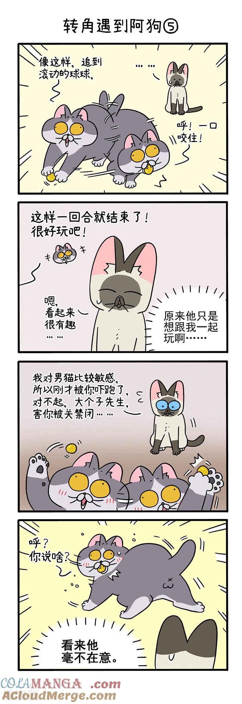 第71话2转角遇到阿狗-阿满和麦茶-新漫画 日胖大海寺（第3张）