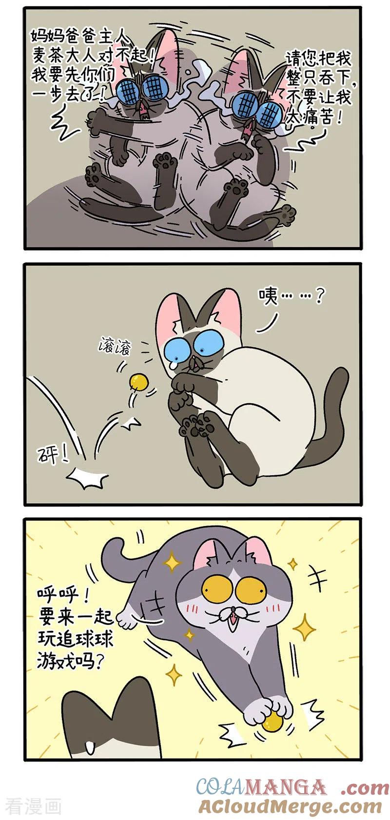第71话2转角遇到阿狗-阿满和麦茶-新漫画 日胖大海寺（第2张）