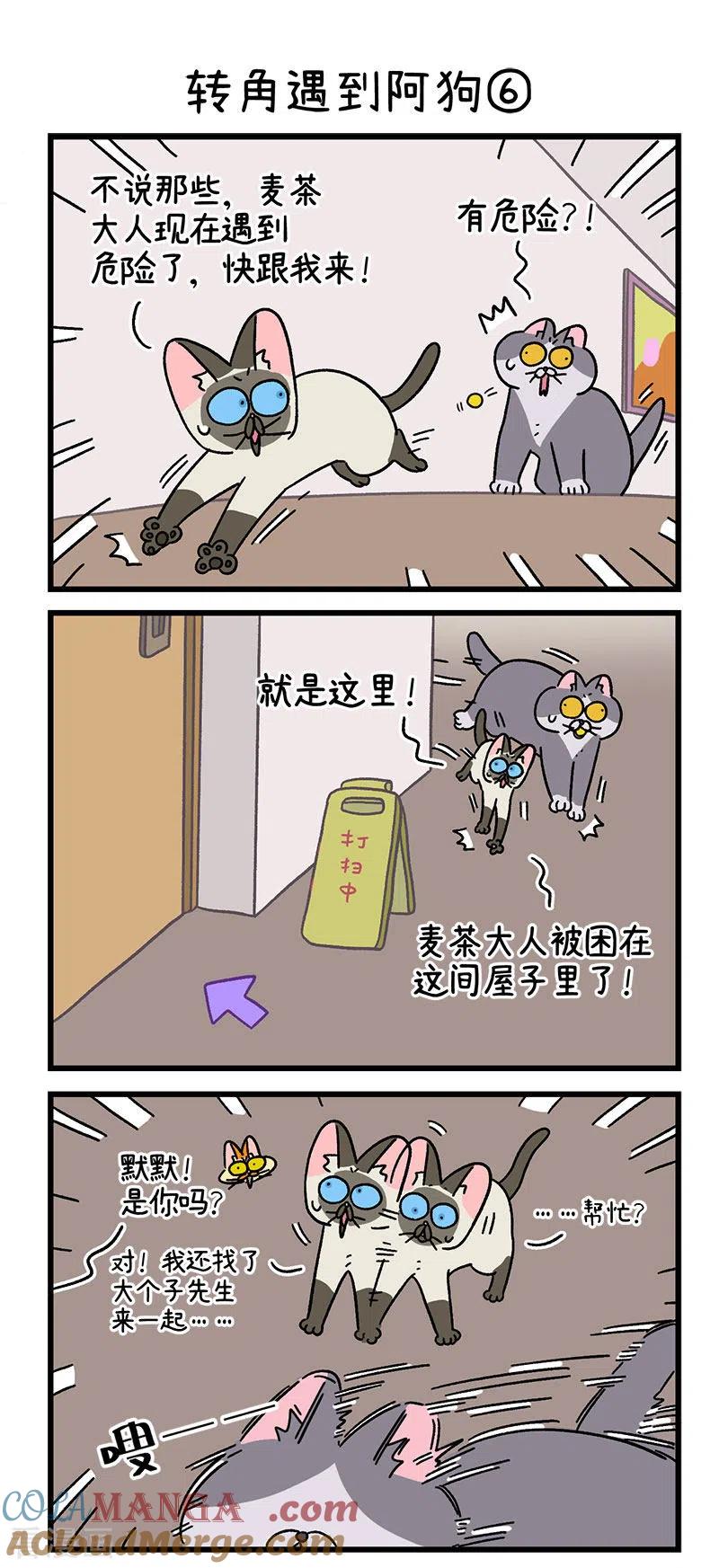 第71话2转角遇到阿狗-阿满和麦茶-新漫画 日胖大海寺（第4张）