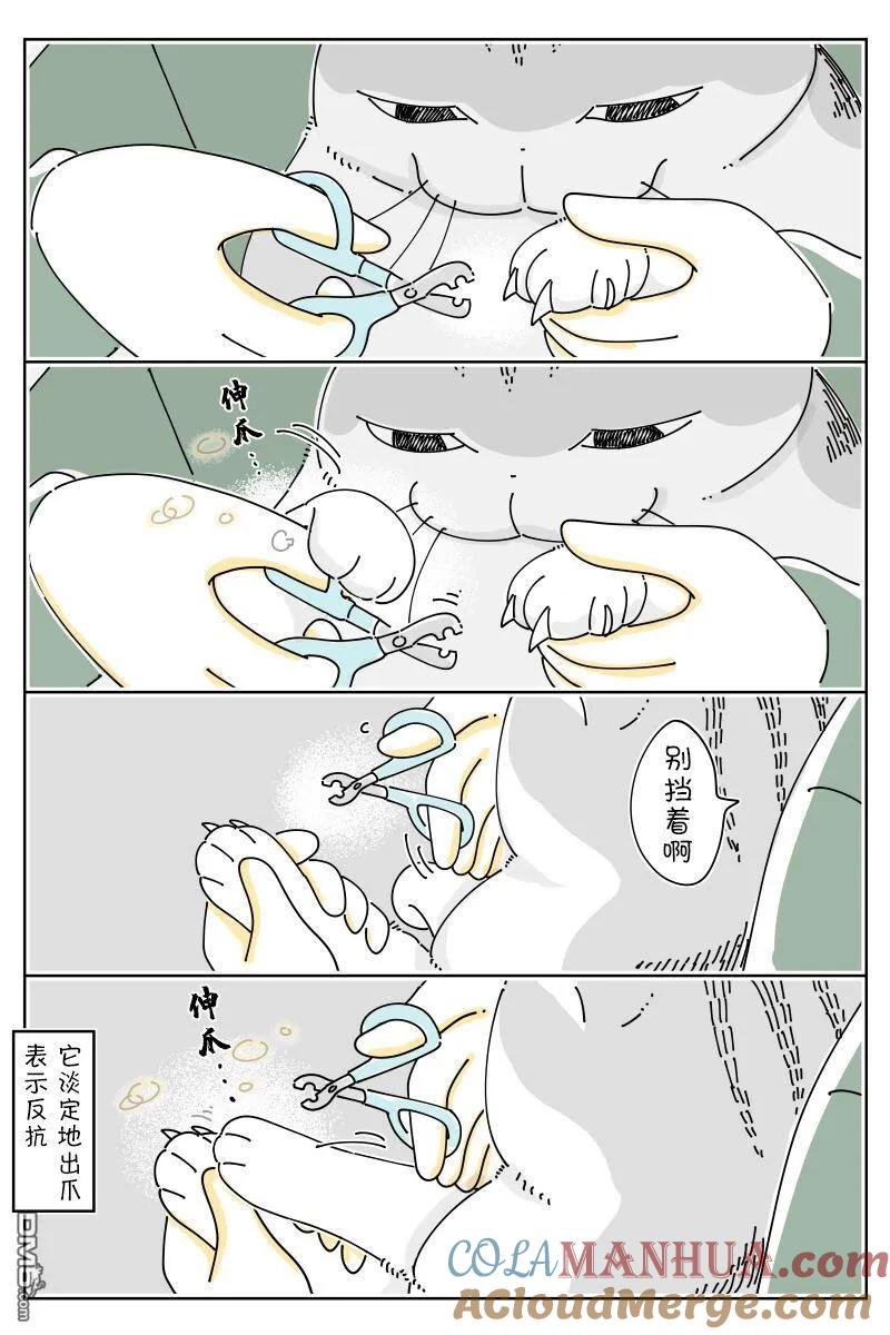第161话-关于养猫我一直是新手-キュルZ（第2张）