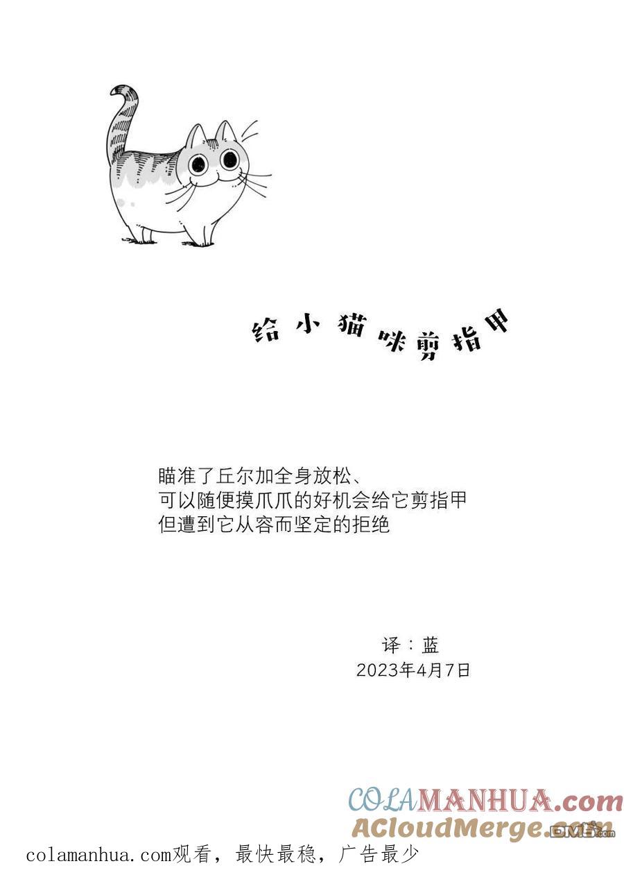 第161话-关于养猫我一直是新手-キュルZ（第3张）