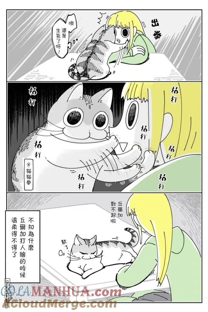 第35话-关于养猫我一直是新手-キュルZ（第2张）