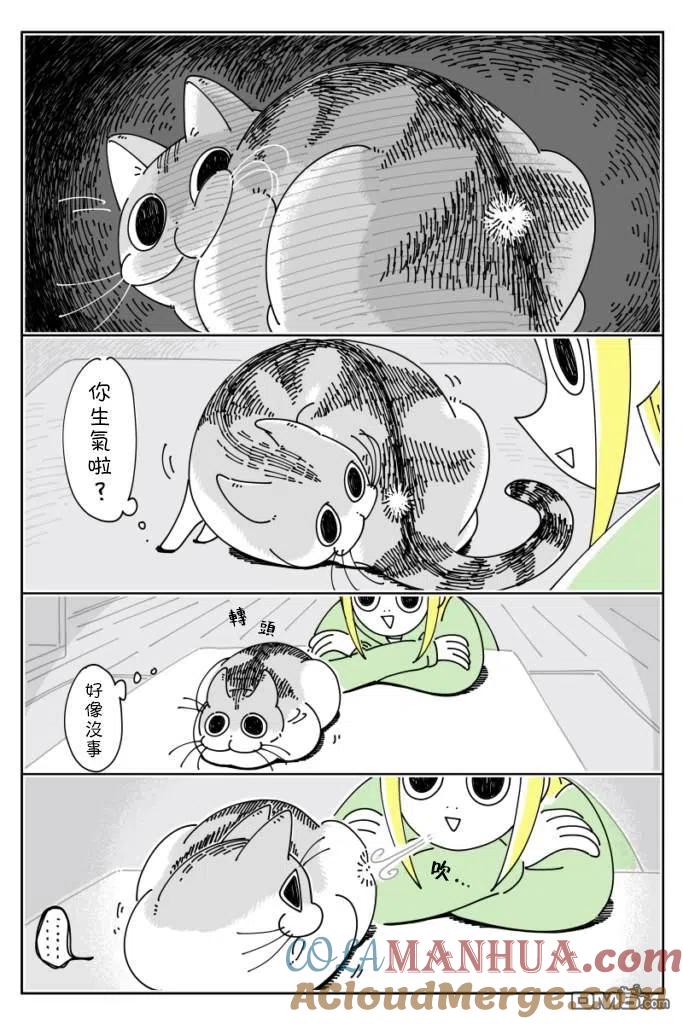 第35话-关于养猫我一直是新手-キュルZ（第1张）