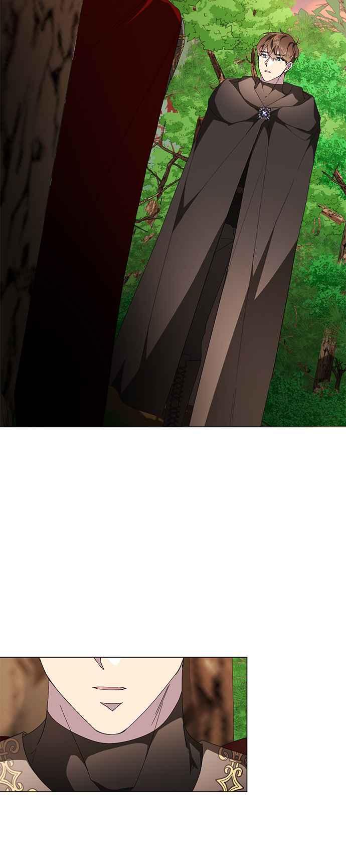 47.jpg