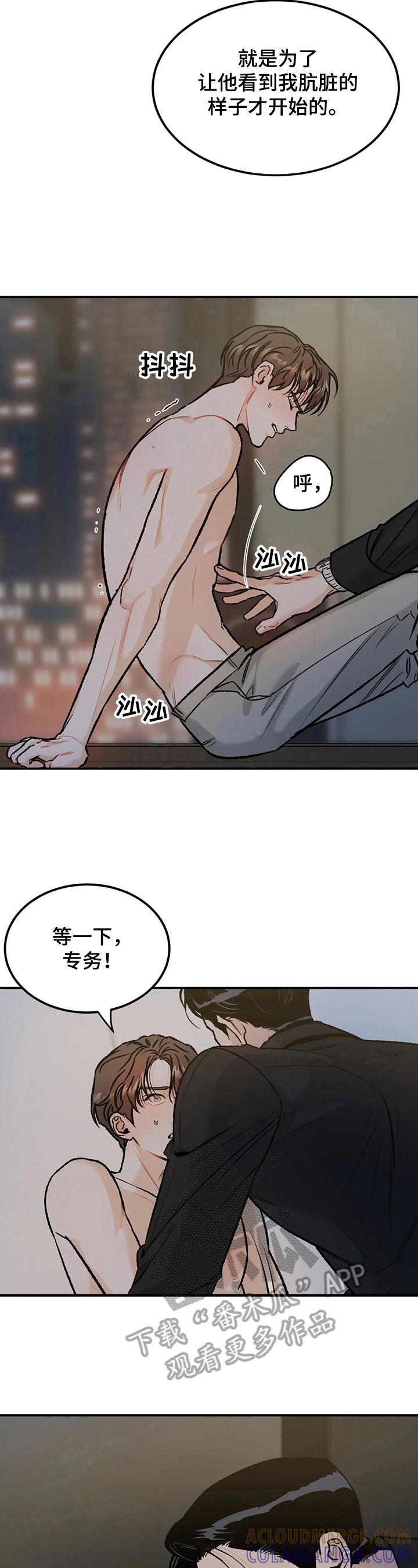 第19章：疯狂-沉迷其中-MEO（第1张）