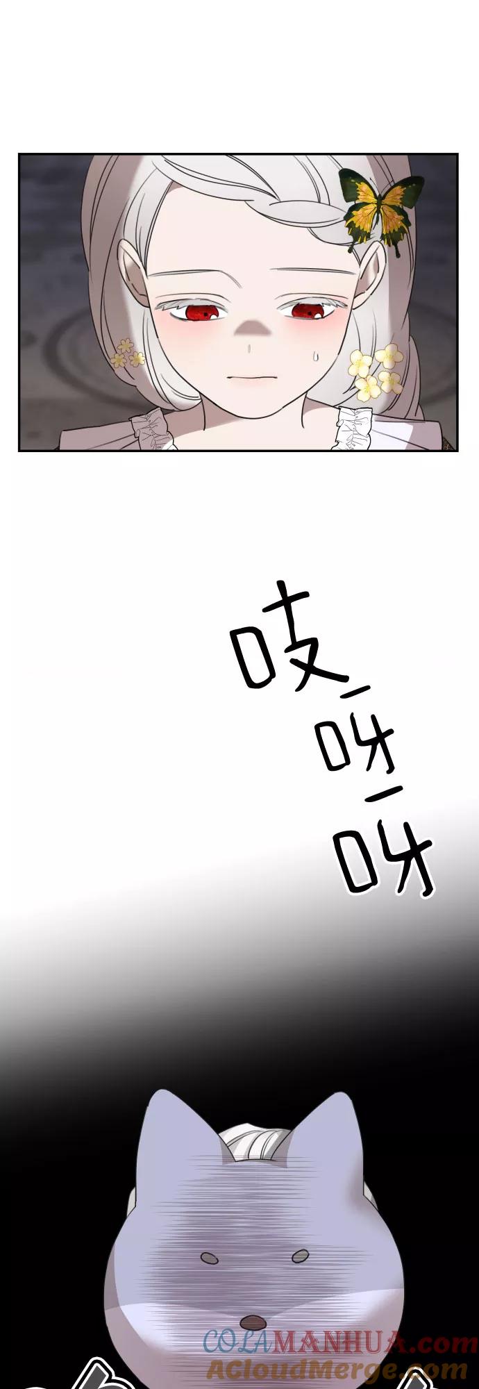 40.jpg