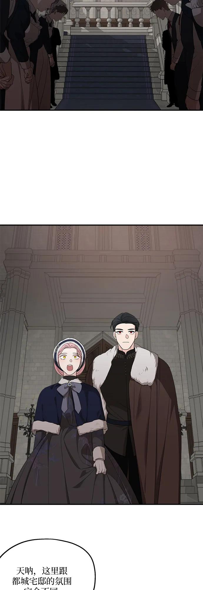 51.jpg