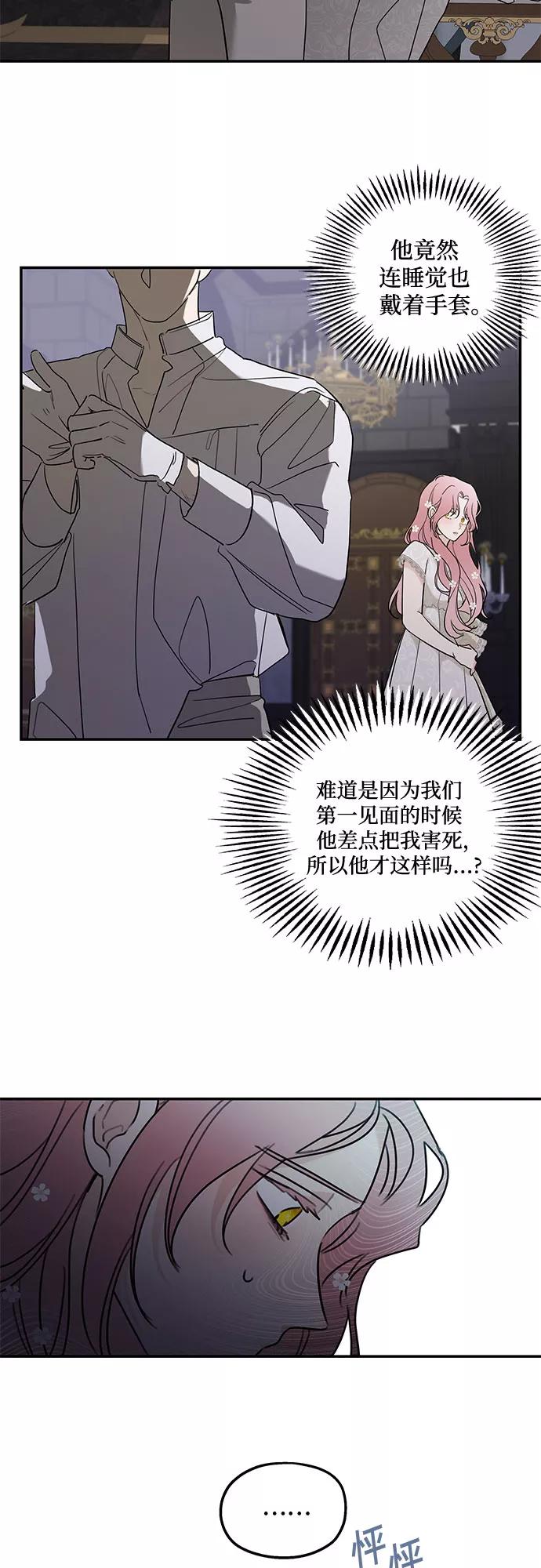 41.jpg