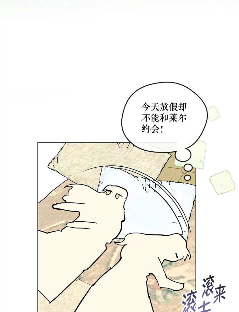 95.jpg