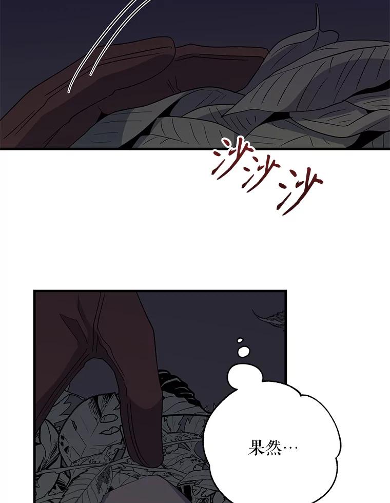 44.jpg