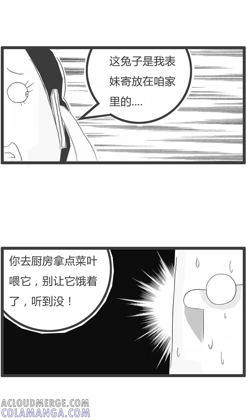 第249话兔子喂了没-火锅家族第一季-钟博士（第4张）