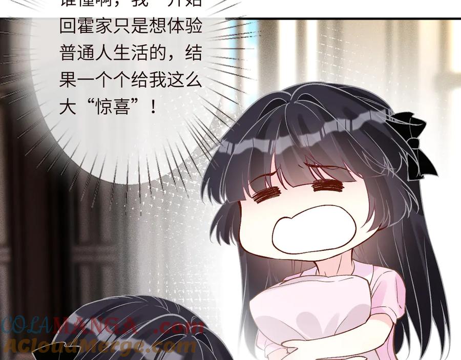 第362盛会长的隐藏身份-满级大佬翻车以后-纳兰闲（原著）+虎岫工作室（第7张）
