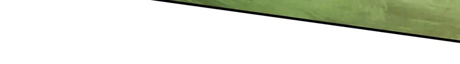 144.jpg