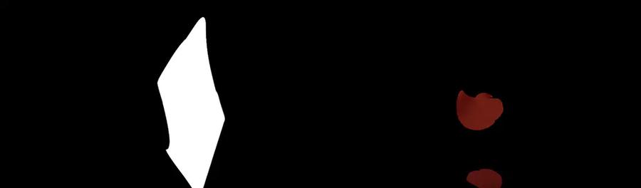 166.jpg