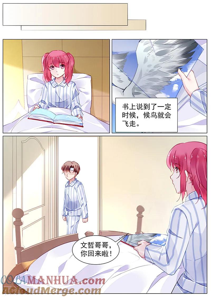 4.jpg