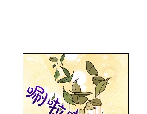 第103话蝴蝶结的价值-公爵夫人的秘密服装店-sizh+ All ages Ga（第9张）