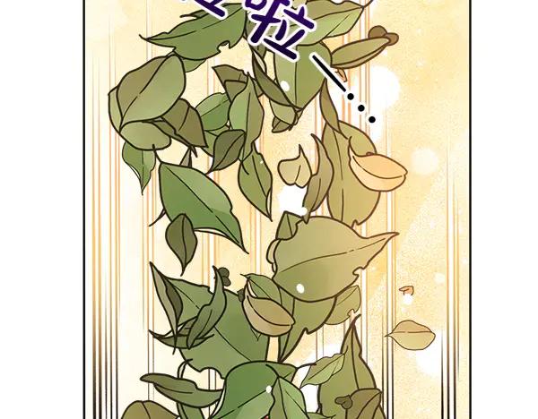 第103话蝴蝶结的价值-公爵夫人的秘密服装店-sizh+ All ages Ga（第10张）